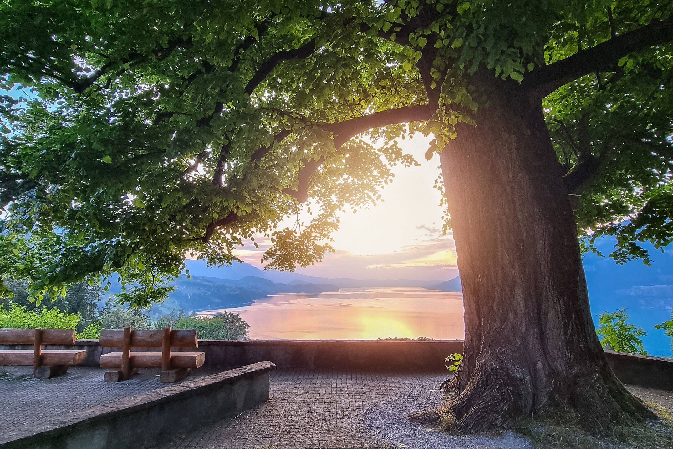 Gemeinde Leissigen Auf der Panoramabrücke Leissigen